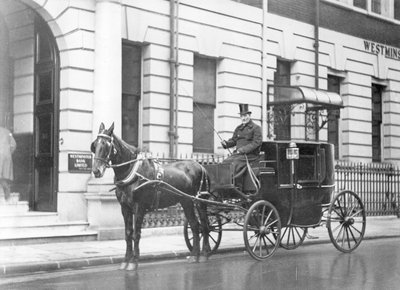 Single-Horsed Carriage by English Photographer